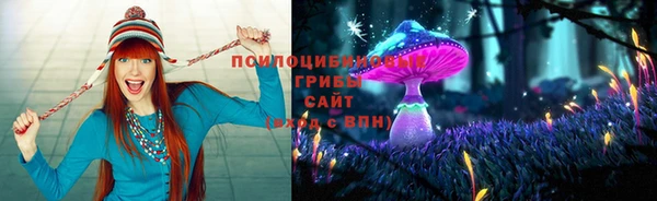 первитин Белокуриха