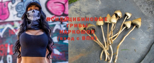 первитин Белокуриха