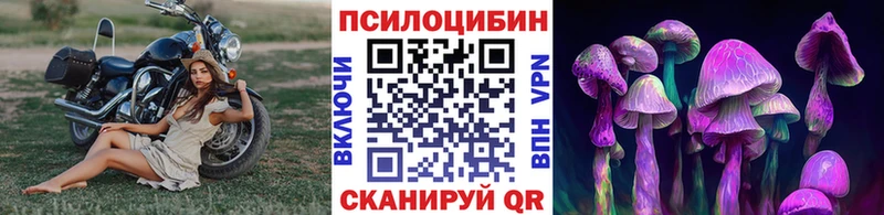 купить наркотики сайты  Щёкино  Галлюциногенные грибы MAGIC MUSHROOMS 